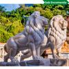 Leao-da-Montanha-Branco-140cm-EMP270 -1-.jpg